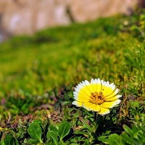 Meet your Posher, Rajina